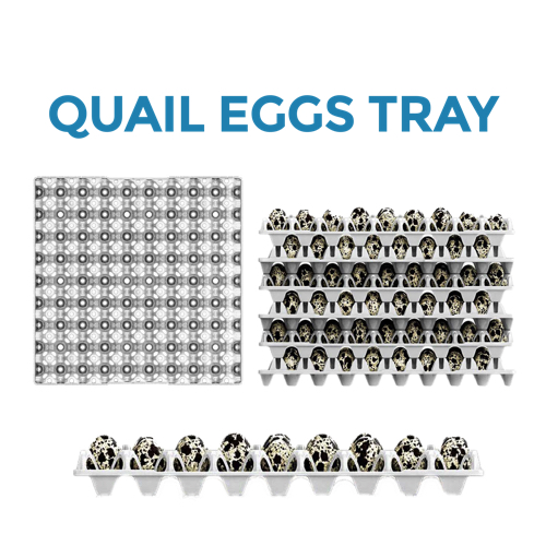 Quail Egg Tray
