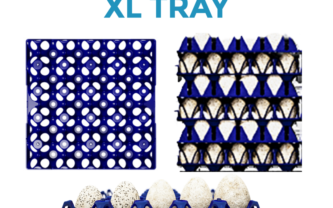 EC XL Tray