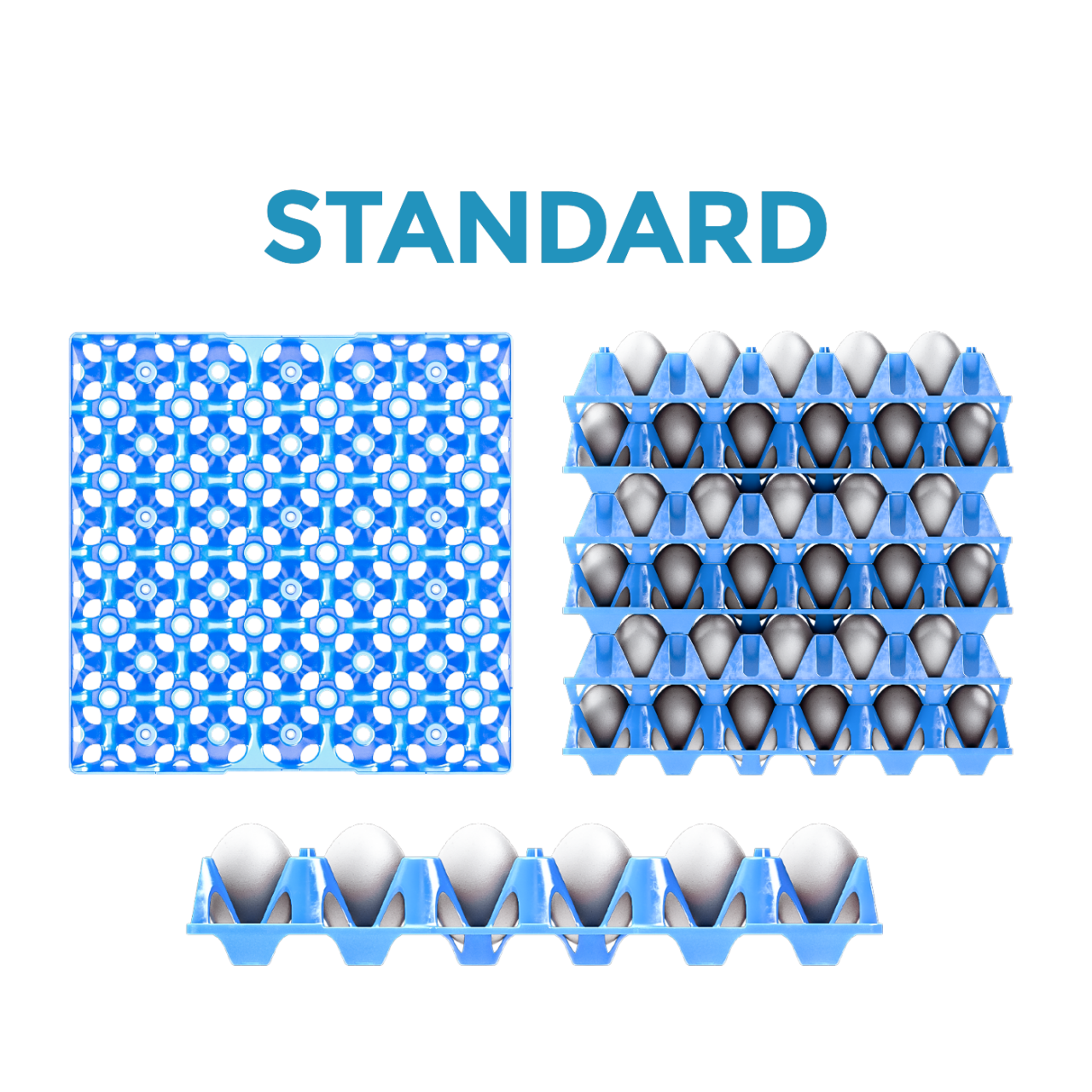 chicken-eggs-handling-solutions-gi-ovo-egg-handling-innovations